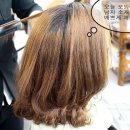 탄이헤어 이미지