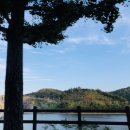 (주)안동콩 이미지