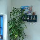 성산 농장 이미지