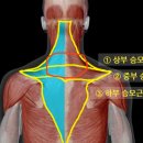 헬스들아!! 롱풀 할때 당기면서 날개뼈를 뒤로 접으라는데 (등 쪼이는거) 이미지