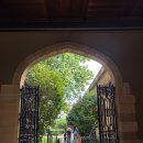 [행복대학] 아름다운 전통 다식 | 시드니대학교 방문후기 인생샷 포토존 가는방법 소개까지 💛