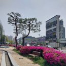 금빛하루약국 | 4월 19일 최근 사진&amp;잡담
