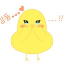 부산야생동물치료센터 이미지