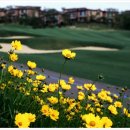 에버리스골프리조트 이미지