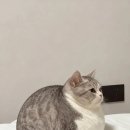 피자빙고수산점 | [일본생활/나고야일상] 12월 일상을 모아모아