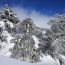 소리구상 이미지