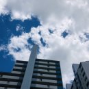 한양대 엘리트 태권도 이미지