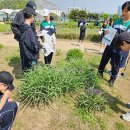 2025년 학교숲 톺아보기(잠신중학교)-2025년 5월 14-15일 다녀왔습니다. 이미지