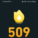 하추자연휴양림 이미지