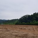 대지농산 이미지