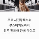 올바른펫 | 2026 케이펫페어 광주 일정 및 무료 사전등록 부스배치도 후기 안내