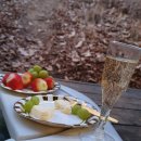 SB호텔 | 야외 노천탕 펜션 호텔무무 새들브라운SB 강화도 스파 숙소