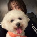 몽실쌀롱 | 임고 2차까지 다다다다다 끝난 후기