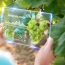 진두축산 이미지