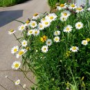 적가경로당 이미지