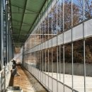 매대농장 이미지