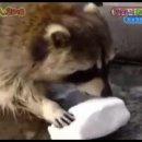 욜로미미사양꼬치냉면
