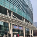 오피셜히게단디즘 내한 콘서트 후기 💞