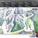 양지파인리조트 이미지