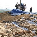 청주흥덕지구축구공원 이미지