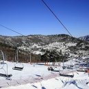 차라리