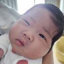 이경자 | 전남 나주 조은맘 산후도우미 이용 후기 이경자 선생님과 함께하는 20일