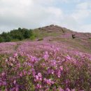 아영면 구상마을 이미지