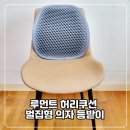 주말 오피스 활용 | 사무실의자허리쿠션, 홈오피스부터 차량까지 활용한 루먼트 벌집형 허리쿠션 후기