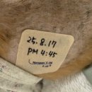 24시 당신의 동물의료센터 이미지