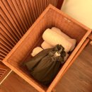 대동리 | [파주] 파주 글로우 글램핑 후기 | 파주 글램핑장 추천 | 파주 캠핑장 글램핑 추천 | 서울 근교 글램핑