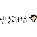 용인대 역동 태권도장 이미지