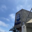 하루비:(HARU B:) | 제주 서귀포 루프탑 카페 추천 : 하루비커피 / 자구리해안 뷰 맛집