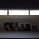 완도네시아 이미지