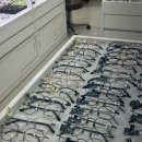 으뜸50안경 전북대점 이미지