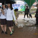 송탄중학교 이미지