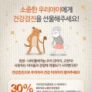 치료멍멍동물병원 이미지