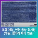 갤러리파이영종 이미지