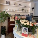 카페길 광안 이미지