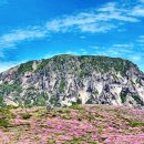 1시간만놀다가 | [산행후기]알흠답도다!!! 6월의 한라산