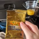 비행기조형물 | [해외 정복기] 싱가포르항공 탑승 후기 (Feat. 뒷자리 장단점)