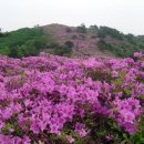 제94차 전남 장흥 보성 제암산(807m) 정기 산행 안내 이미지