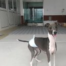 뽀야네 민박집 이미지