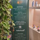 플로체 디자인 랩 이미지