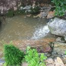 유왕별서 이미지