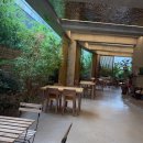 라라도그 | 광주 충장로 미용실 하이레이어드컷 후기 가장 좋은 비쥬얼아우라 3호점