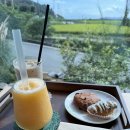 (주) 가우 | [가우커피] 전남 강진, 가우도 해안도로 근처 분위기 좋은 카페