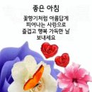 소심소고 (素心溯考) 이미지