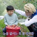 호랑이배꼽마을 이미지