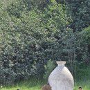 바람의말 | 중국 여행 3일차_장예 대불사, 초원, 마제사