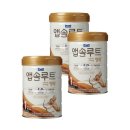 앱솔루트